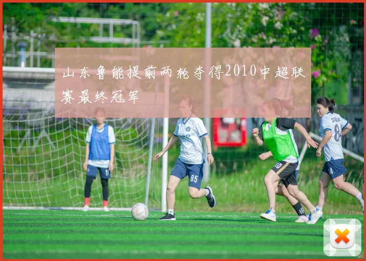山东鲁能提前两轮夺得2010中超联赛最终冠军