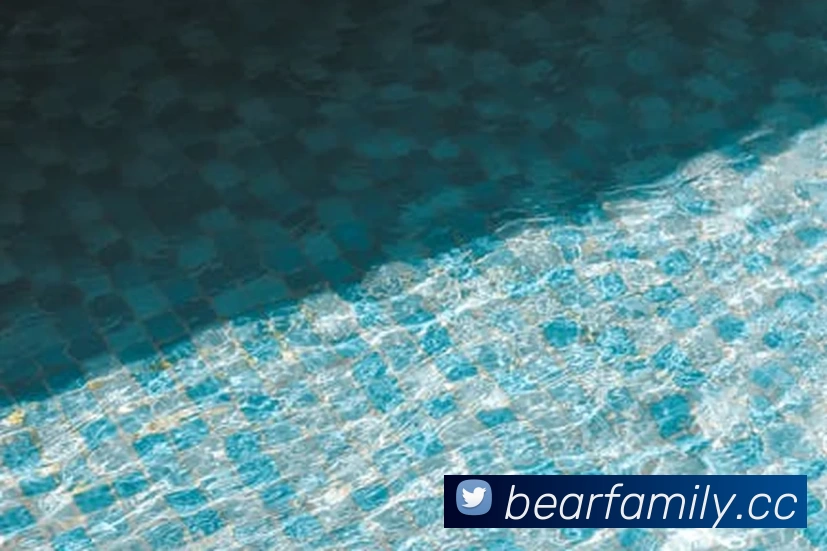 欧宝官方版网站登录入口 - 欧宝(中国)平台生态图